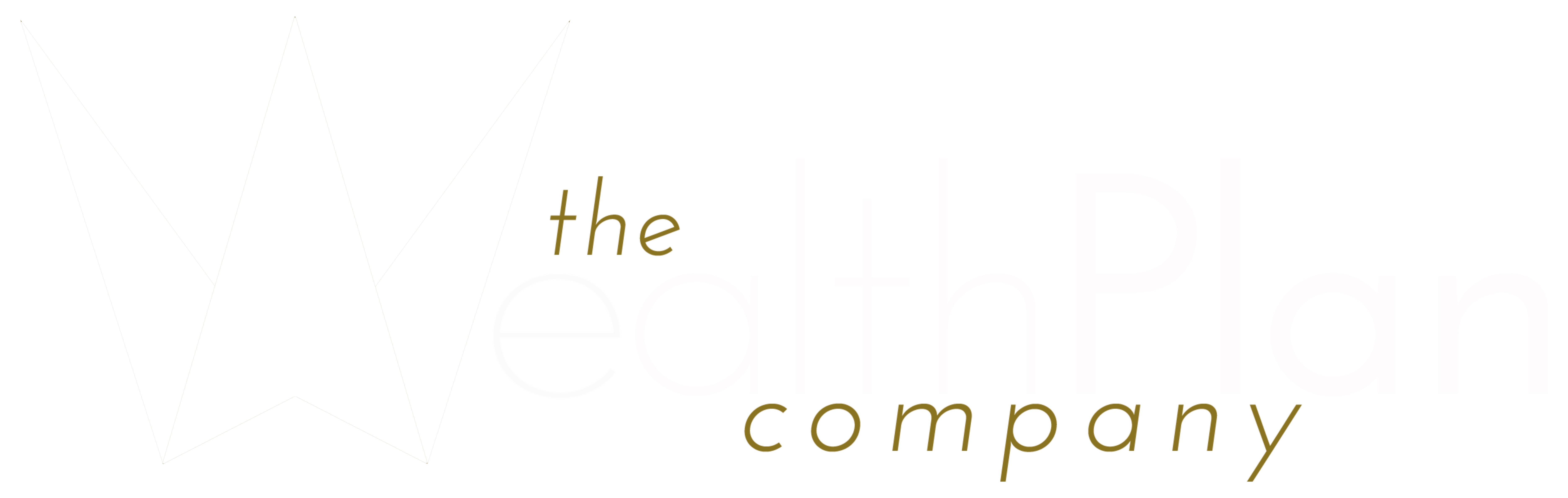 The Wealth Plan Company